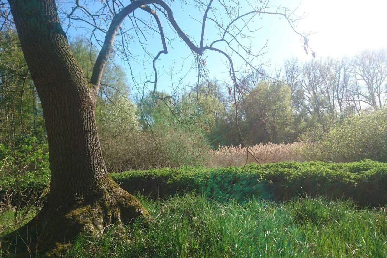 Sonniges Haeuschen Mit Garten Apartment Braunschweig